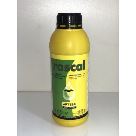 RASCAL 1LT